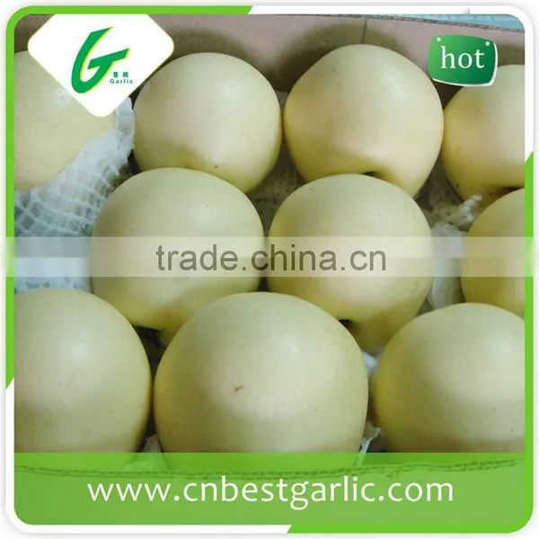 9kg 18kg Bulk Fresh Crown Pear photo-4
