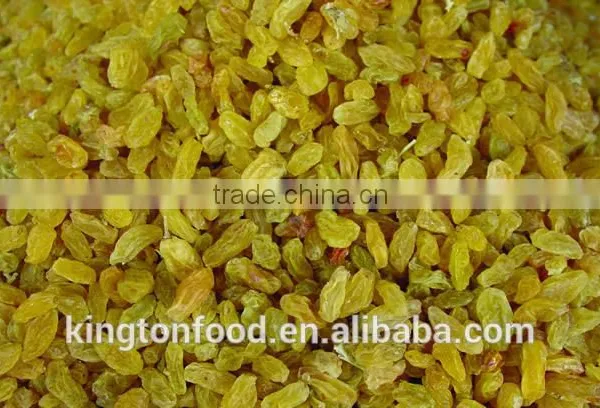 China Wholesale Seedless Dried Raisin photo-2