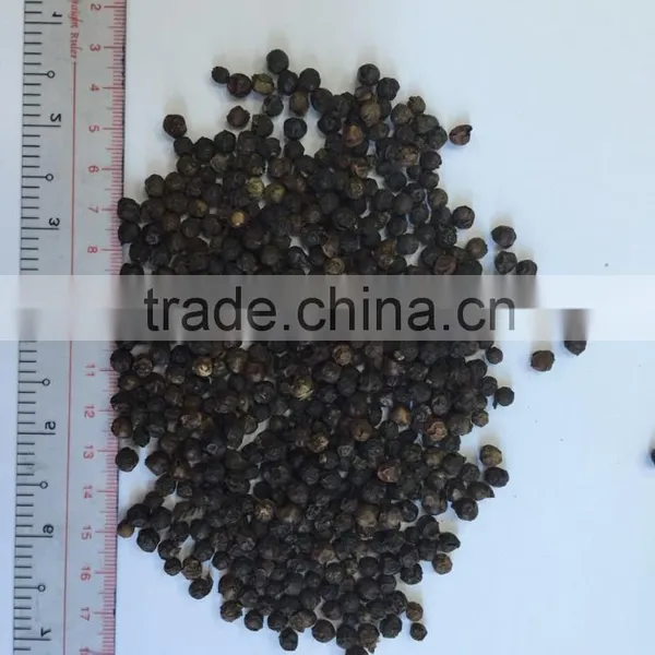 High Quality VIETNAM BLACK PEPPER photo-2