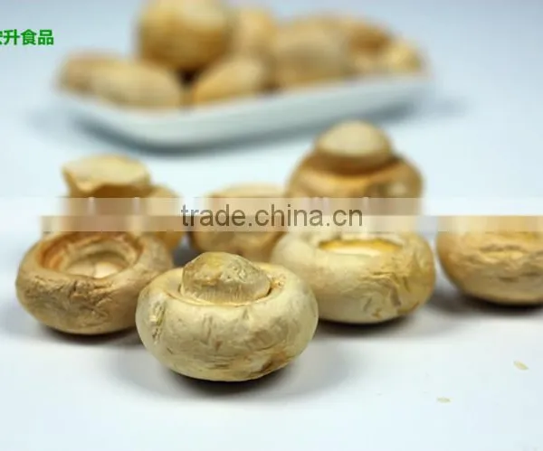Fresh Air Dried Mushroom Flower photo-4
