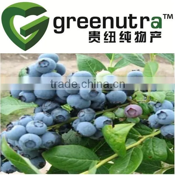 Bilberry Extract With Anthocyanosides/cowberry Extract /lingonberry Extract