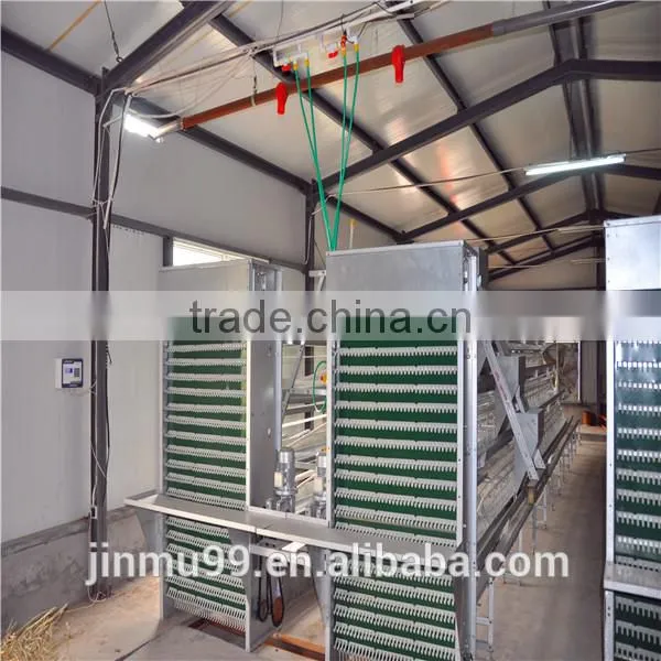 Factory Selling Price Egg-collection Equipment