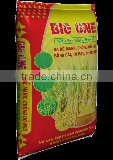 BIG ONE FOR RICE photo-2