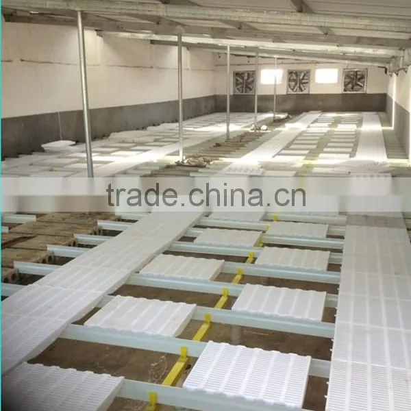 Fire Retardant Chicken Greenhouse ,chicken House ,fiberglass Chicken Shed photo-3