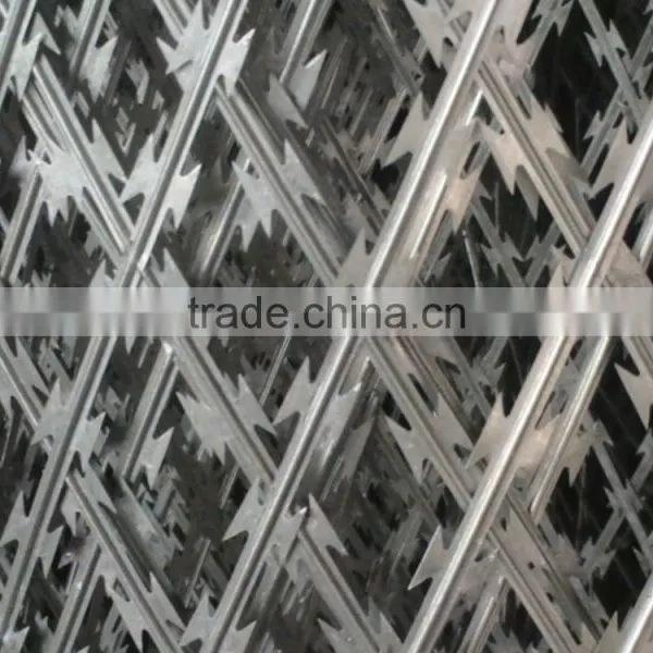 Hot Diped Galvanized Razor Barbed Wire (z)/Prison Barbed Wire photo-2