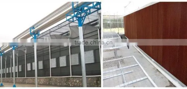HY Series the Lower Price of Poultry House Wall Ventilation Fan photo-3