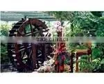Glass Greenhouse With Restaurant photo-2
