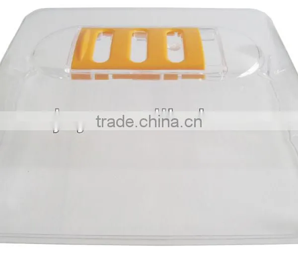 Children's Garden Pot ( Propagation Tray & Lid ) photo-3