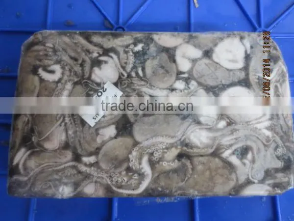 Frozen Octopus Whole photo-3