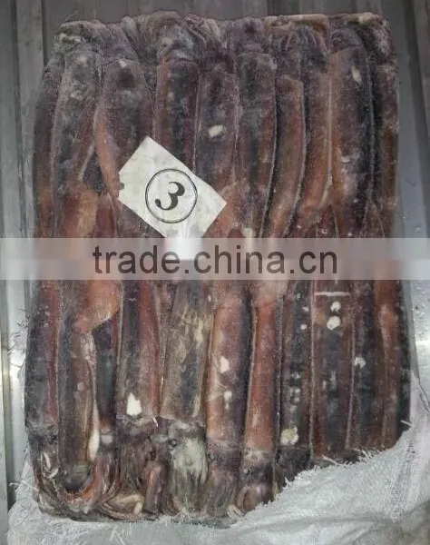 150-200g Frozen Illex Squid photo-2