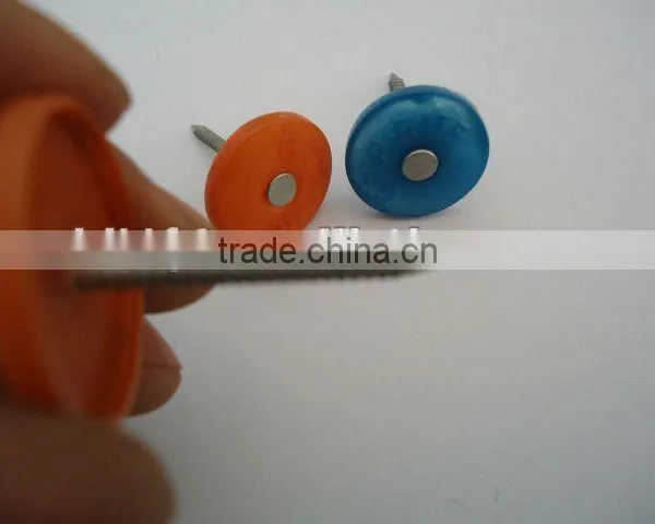 Torx Roofing Screw Nails With Plastic Caps China Supplier on Hot Sale photo-5