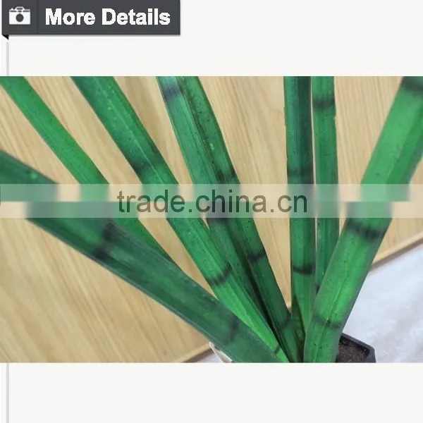 2015 New Home Decoration Maguey Potting Artificial Green Plant photo-4