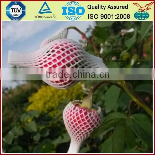 PE Plastic Protection Sleeve Packing Net for Flower Bud photo-3