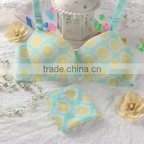 Women Seamless Panties and Bra Hot Anty Factory in China photo-3