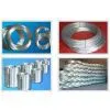 Galvanized Binding Wire Wire Mesh Fence Mesh Wire