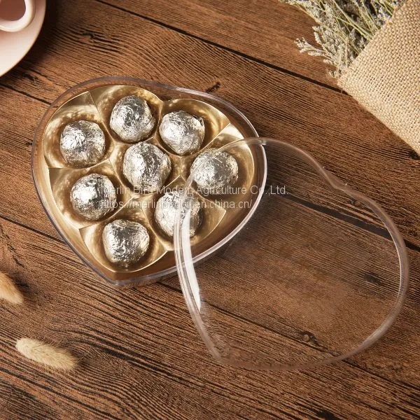 Chinese Artistic Handmade Flower Blooming Tea China Gift Flower Tea Balls photo-5