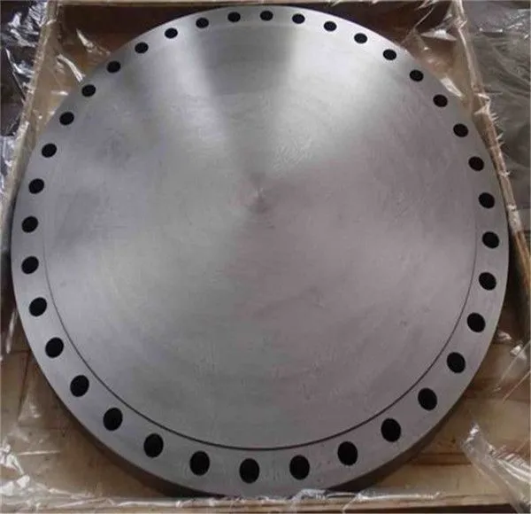 Nonrotatable Rotatable Carbon Steel Fittings Plate Flange photo-5