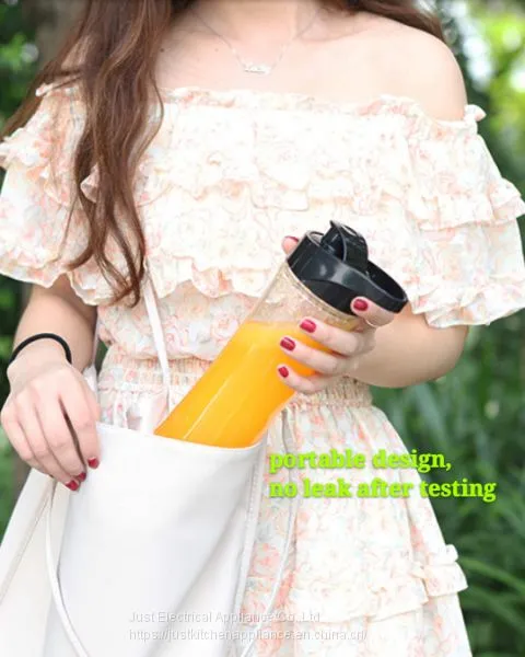 600ml 300W ABS Electrical Personal Blender Juicer With Trian Jar photo-2