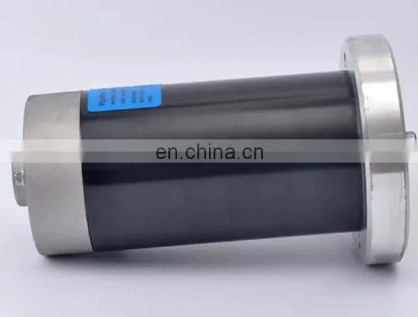 Chinese Factory Direct Sale Permanent Magnet 800w 24v dc Motor With Carbon Brush