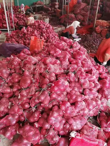 Fresh Onion photo-5