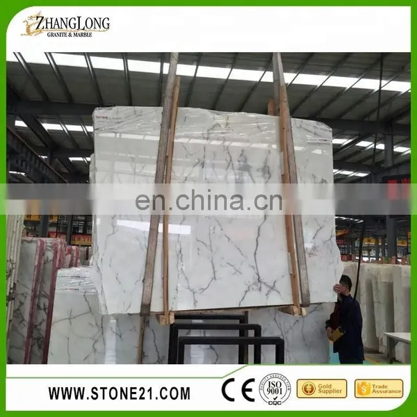 Low Price Statuary Marble Slab, Italy Statuary Marble photo-5