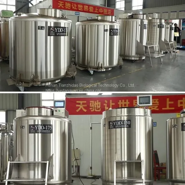 Guam YDD-450 Stainless Steel Stem Cell Sample Bank Equipment KGSQ Liquid N2 Tank photo-2