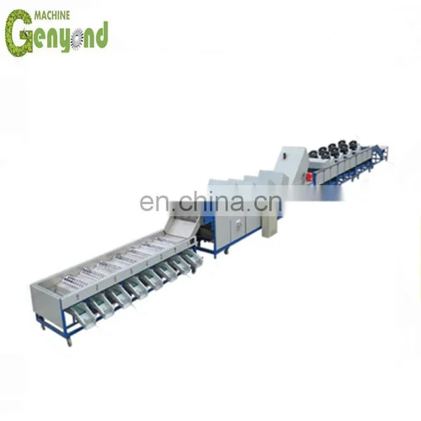 New Offer Prune Sorting Machine photo-3