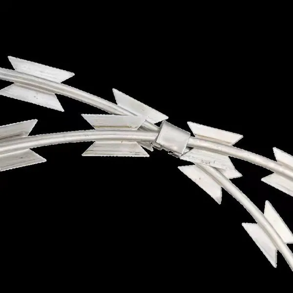 Premium Stainless Steel 304 Razor Wire Fencing for Long-Lasting Safety Solutions photo-2