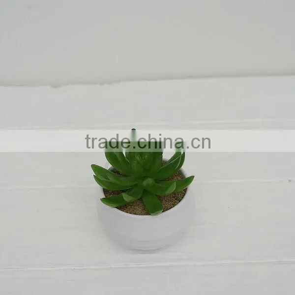 Indoor Decoration Artificial Plants Plastic Plants Lotus Bonsai