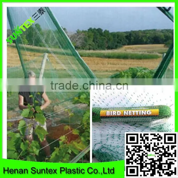 Fruit Farm Widely Used Anti Bird Protection Net,agricultural Anti Bird Netting photo-5