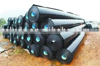 Geomembrane