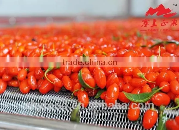 Dried Goji Berry 280grains/50g Health Food,100%natural,native Chinese Goji Berry photo-6