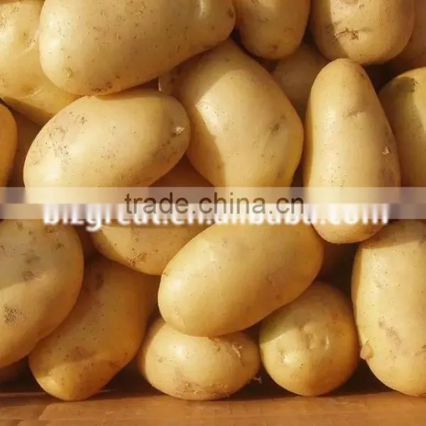 Supply Fresh Vegetables ,high Quality Fresh Potatoes for Sale photo-2