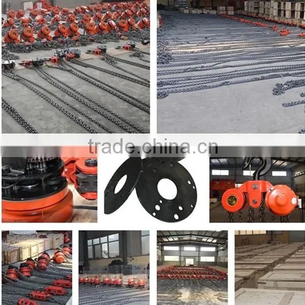 DHP Model Hoist Crane Electric Hoist Crane 5 Ton photo-6