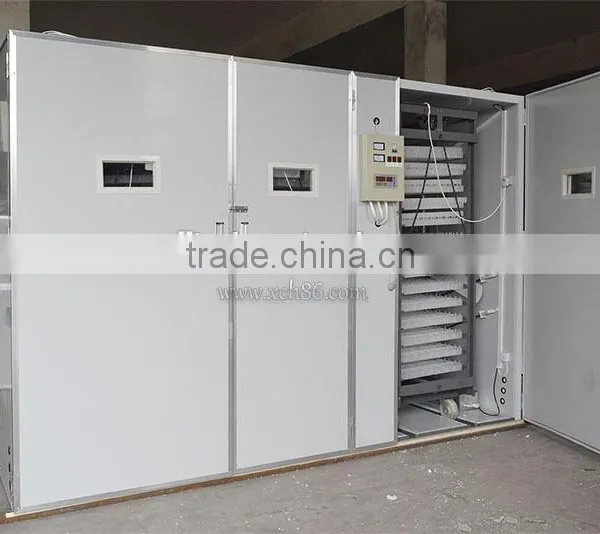 Xinchang Large Capacity 14784 Poultry Incubator Machine for Sale photo-3