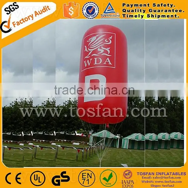Advertising Helium Balloon Inflatable Good Price F2005 photo-6