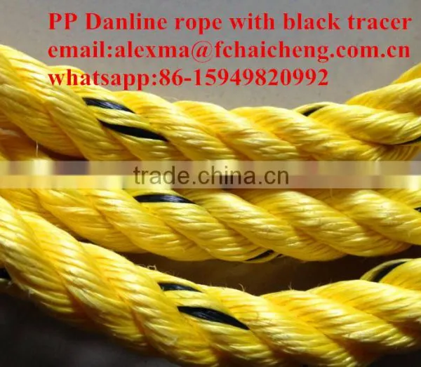 Yellow pp danline rope with black tracer