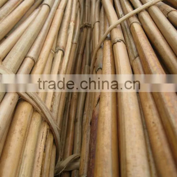 Rattan Cane