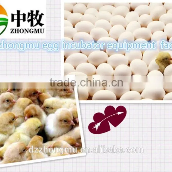 Automatic Microcontroller 88 Mini Incubator/mini Egg Incubator Chicken/duck/quail Eggs photo-6
