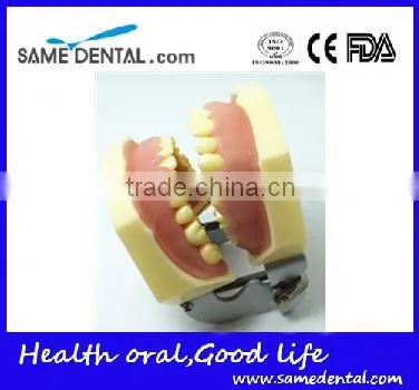 Dental Eduction Assitant No. DEA-06 photo-4