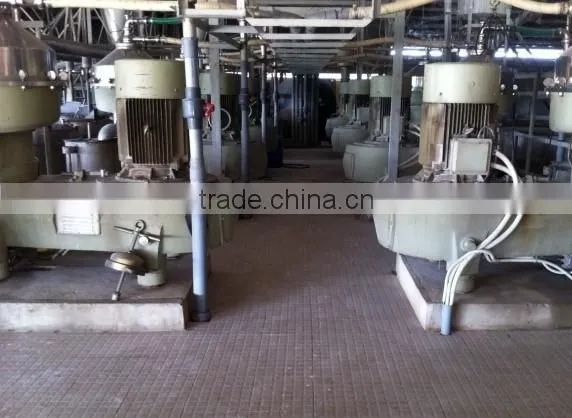 Native Cassava Starch photo-6