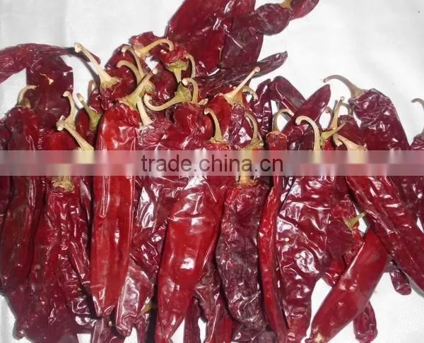 Sweet Paprika Pods