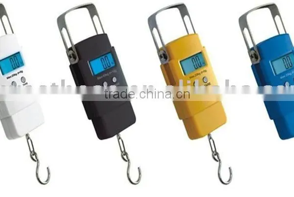 Hanging Scale