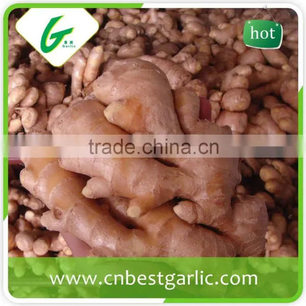 Air Dry Fresh Ginger photo-3