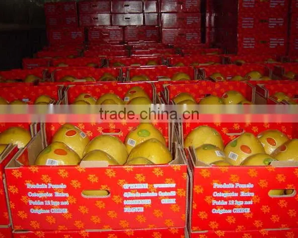 2015 China Original Fresh Honey Yellow Pomelo for Sale photo-4