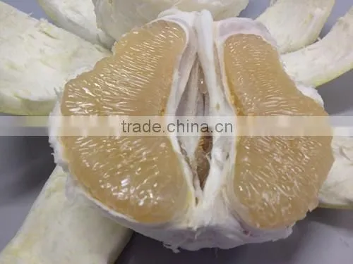 Late Honey Pomelo photo-2
