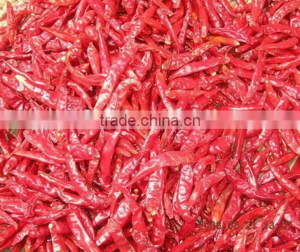 Dried Red Chillies