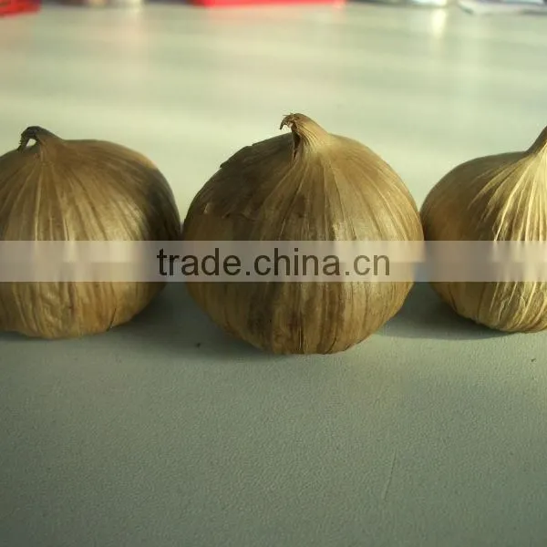 Hot Selling Chinese Black Garlic Japanese Technology photo-3