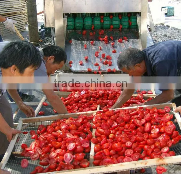 Sundried China Tomato Organic Sun Dried Tomatoes For Sell