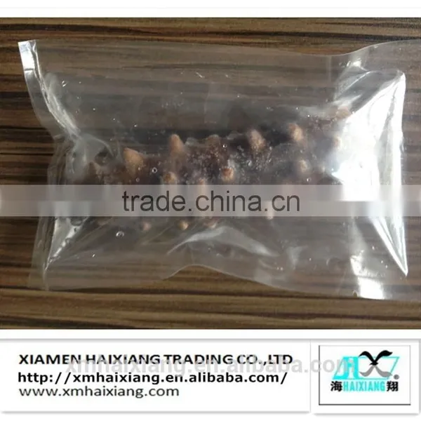 Fresh Sea Cucumber